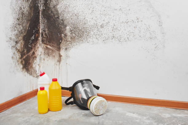 Water damage restoration